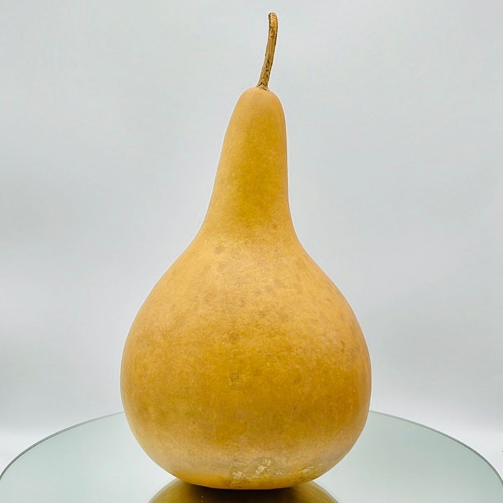 Clean Dried Natural Gourd 
ARTS & CRAFTS Project Ready Nice Vase Style Birdhouse